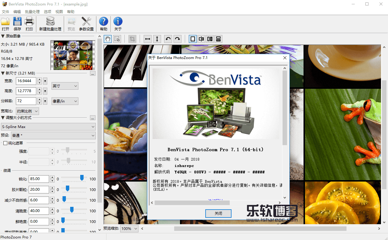 Benvista PhotoZoom Pro 7.1破解版