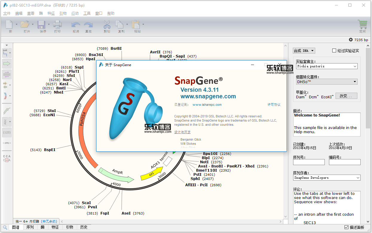 SnapGene 4.3.11破解版